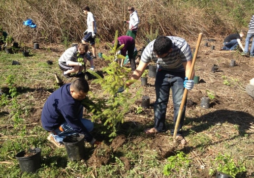 The Impact of Community Projects on Sustainability and Environmental Awareness in Milton, PA